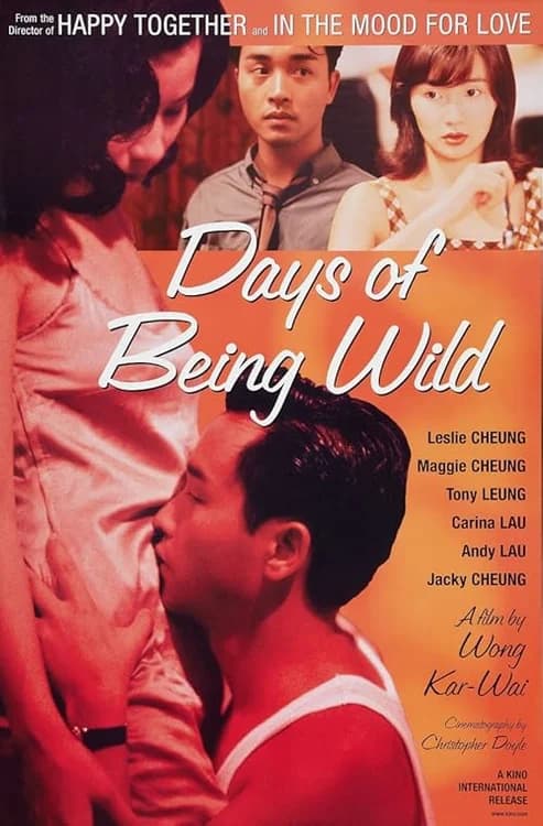 Days of Being Wild film posteri