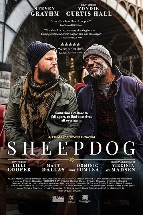Sheepdog